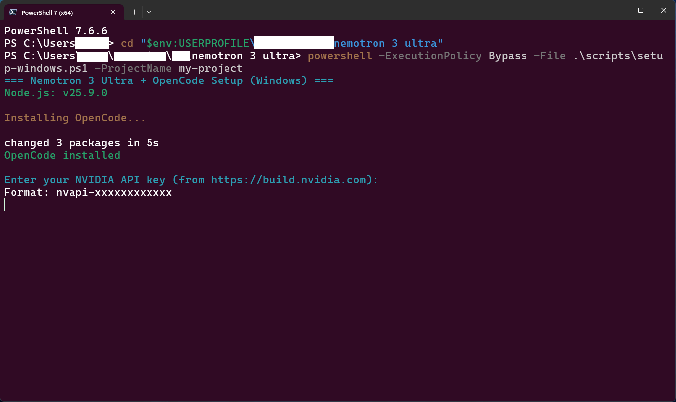 Setup script installing OpenCode and asking for the API key